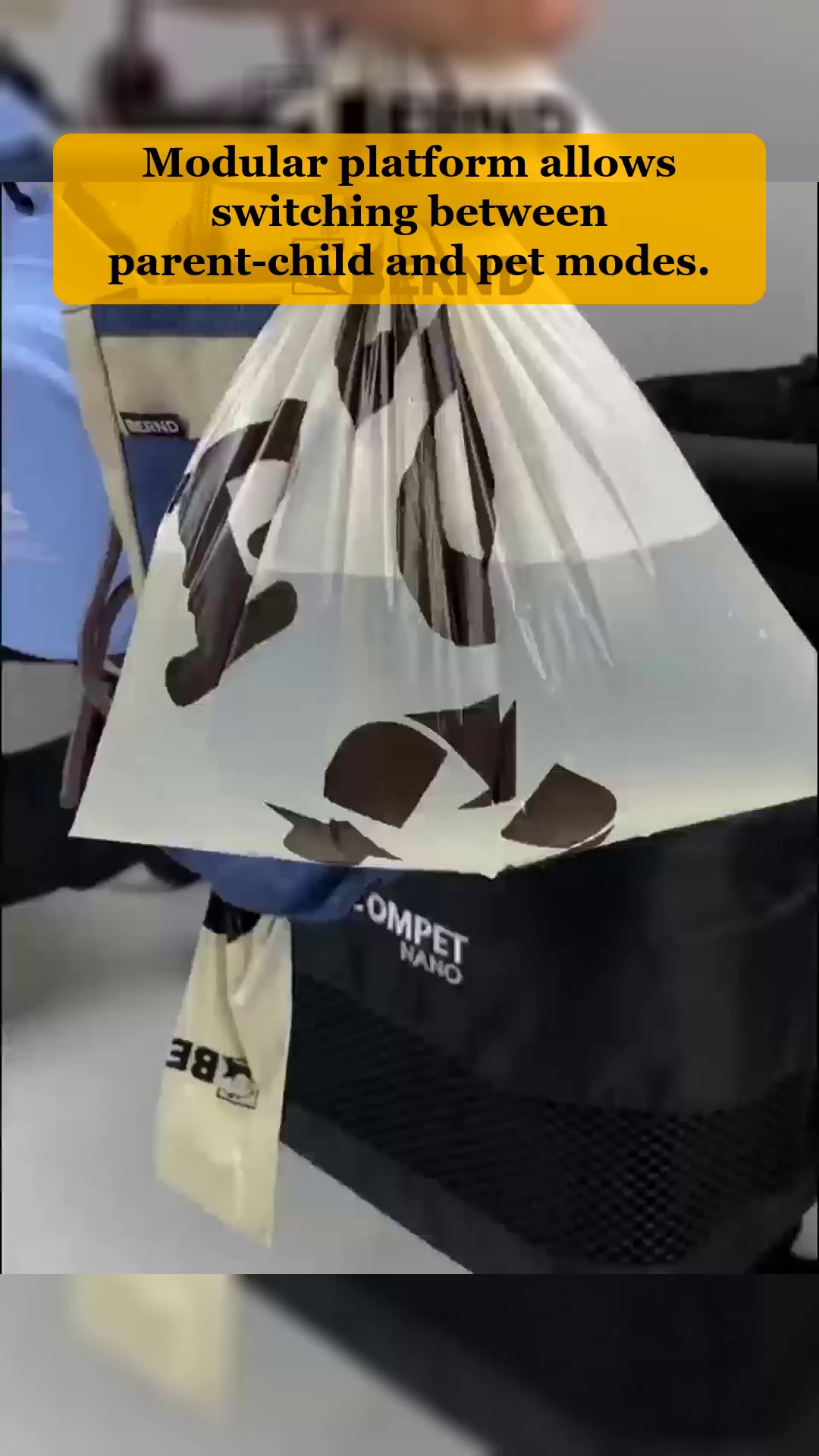 ビデオ 11