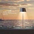 Portable USB Rechargeable Fashion Table Lamp with Charging Base for Bars, Hotels, Restaurants, and Coffee Shops1