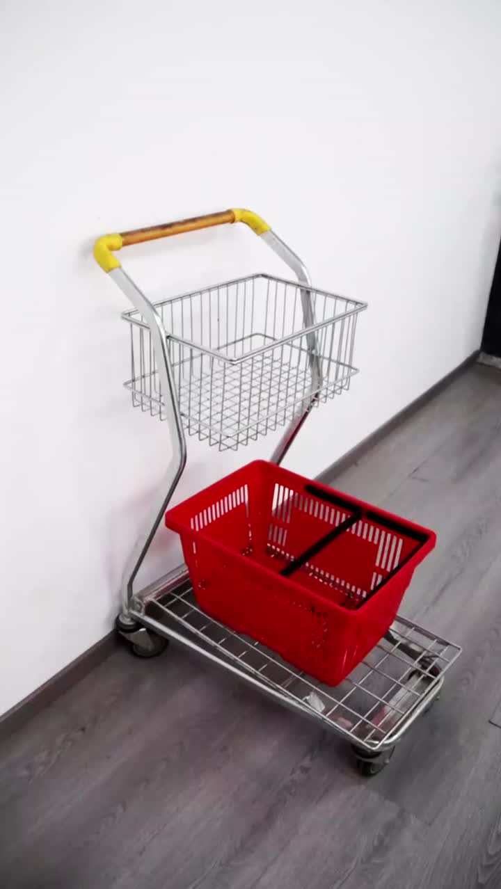 Supermarket Double Layer Fruit Shopping Cart