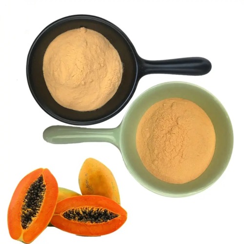 The Benefits and Uses of Raw Papaya Powder