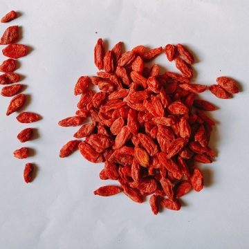 Brief Introduction to Dried Goji Berry