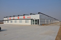 Weifang Dingli Food Co. Ltd.