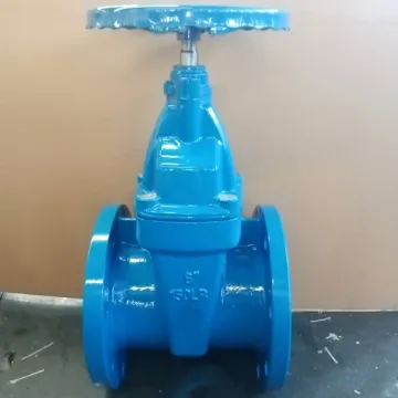 Choice China Supply Nrs Resilient Seat Gate Valve for Sale1