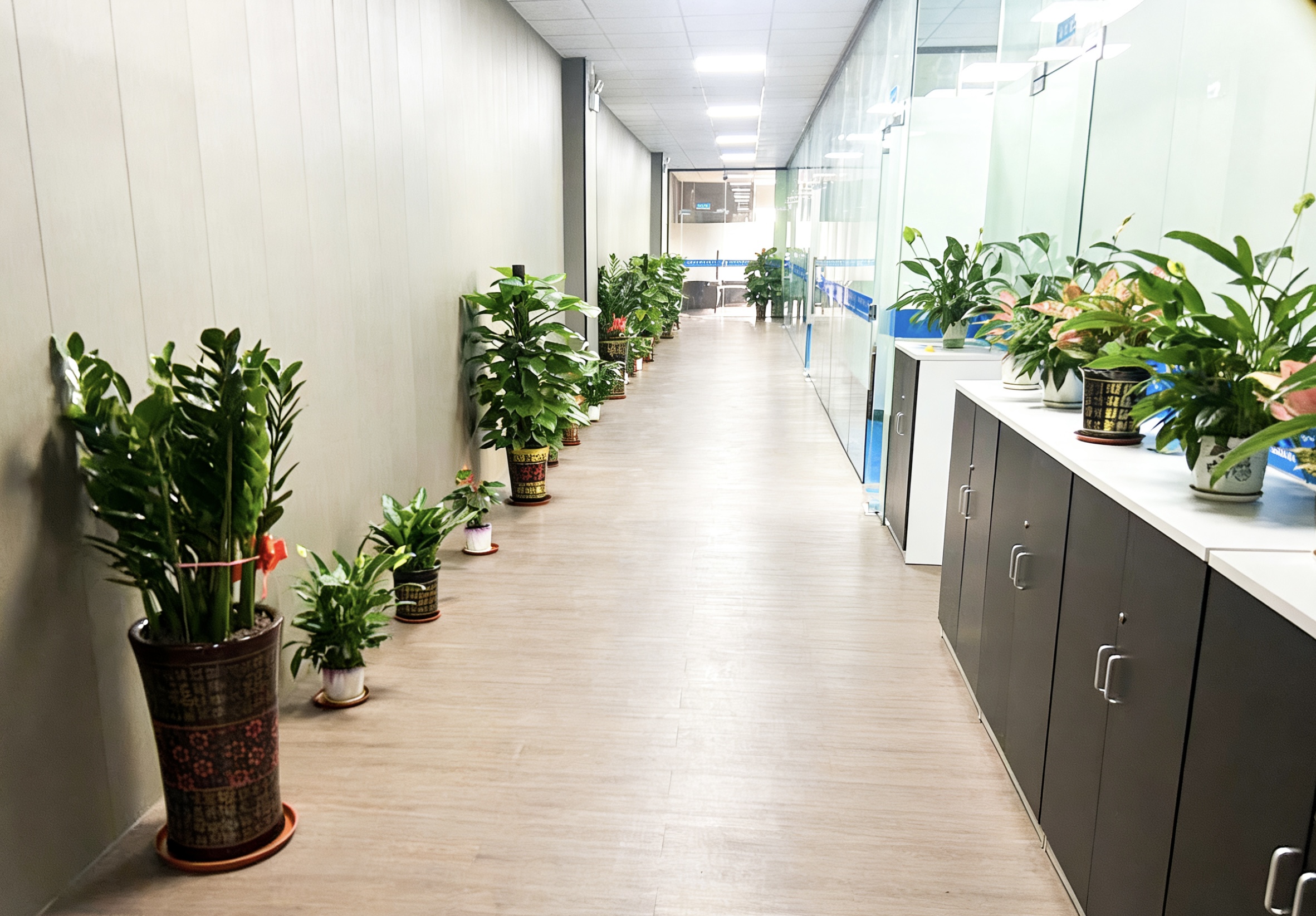 DONGGUAN BAISHIDE ELECTRONIC TECHNOLOGY CO.LTD