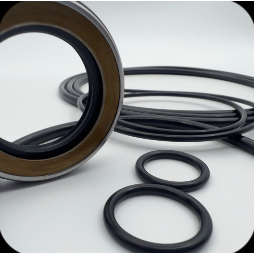 68-Swing Motor Seal Repair Kit