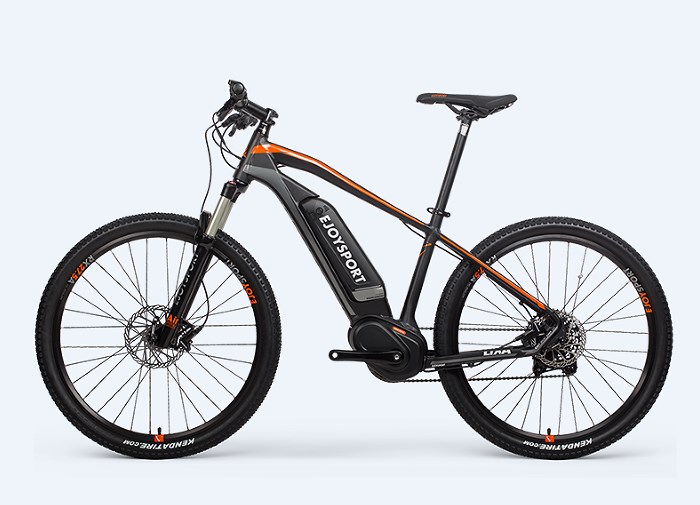 Electric Bike 48v Lixa