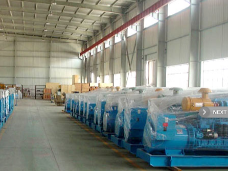 Jiangsu Lingyu Generator CO.,LTD