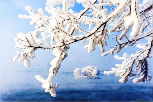 When ice and snow meet printing, let Jilin's winter bloom on paper