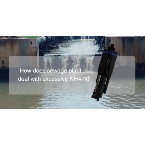 How does the sewage treatment plant deal with the problem of excessive ammonium?