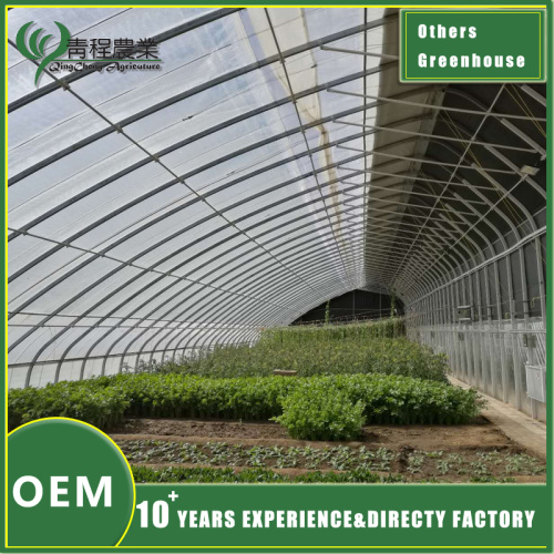 Якія ўмовы неабходныя для будаўніцтва цяпліцы?