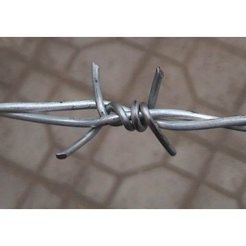 China Top 10 Barbed Wire Potential Enterprises