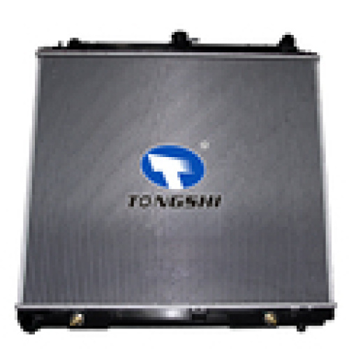 OEM 21460EA215 China Manufacturer Car Water Radiator for NISSAN FRONTIER 21460-EA215 731411
