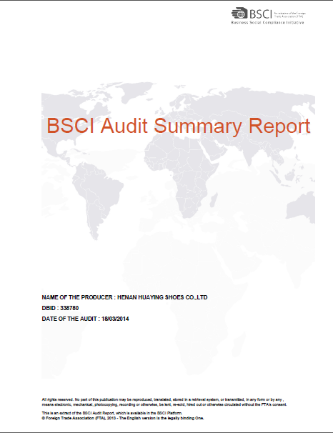 BSCI Audit Summary Report