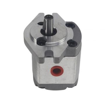 China Top 10 Hgp Series Gear Pump Brands