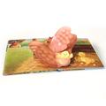 China Factory Book Printing Services Custom Pop up Books for Children1