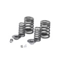 HONLG Motorcycle Engine Valve Spring for CG125 CG1501
