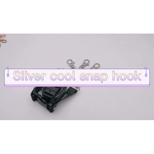 Silver Snap Hook