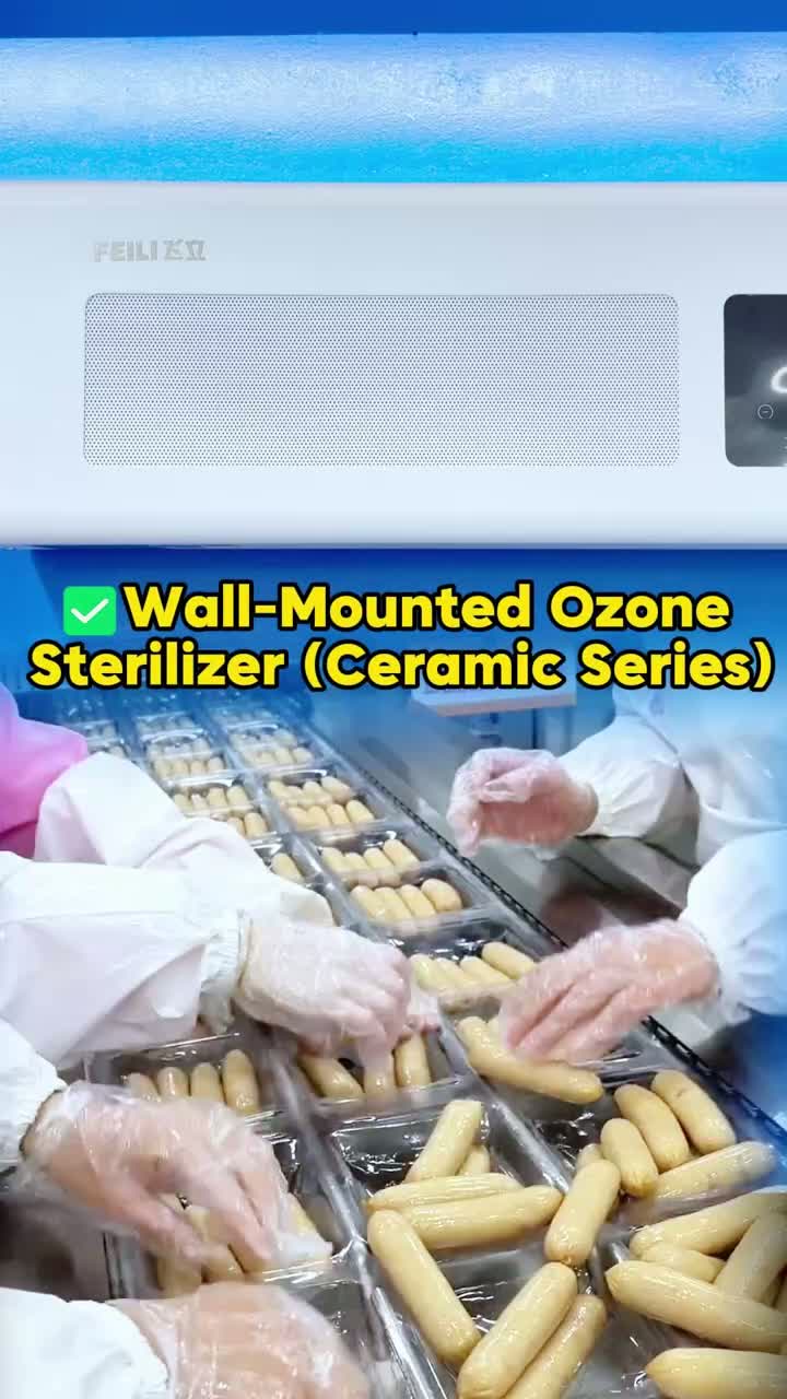 ফেইলি ওয়াল-মাউন্ট ওজোন জেনারেটর: বাড়ি এবং ব্যবসার জন্য স্মার্ট নির্বীজন