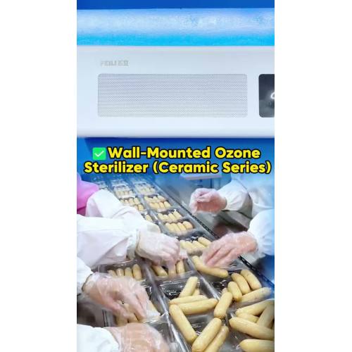 Generatoare de ozon cu montare pe perete Feili: dezinfecție inteligentă pentru casă și afaceri