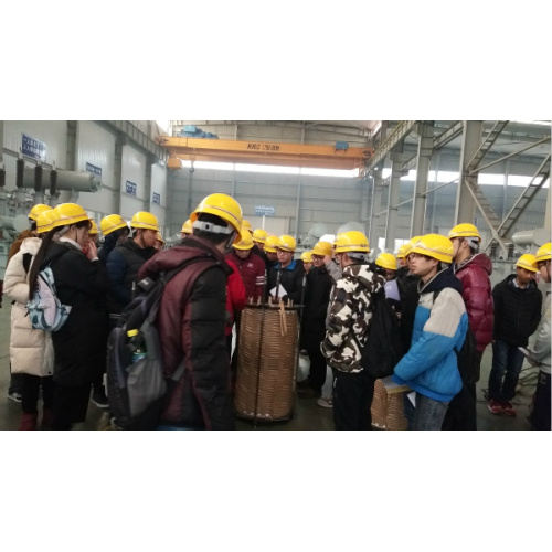 Professores e estudantes da Universidade de Wuhan da Visita e Estudo de Tecnologia