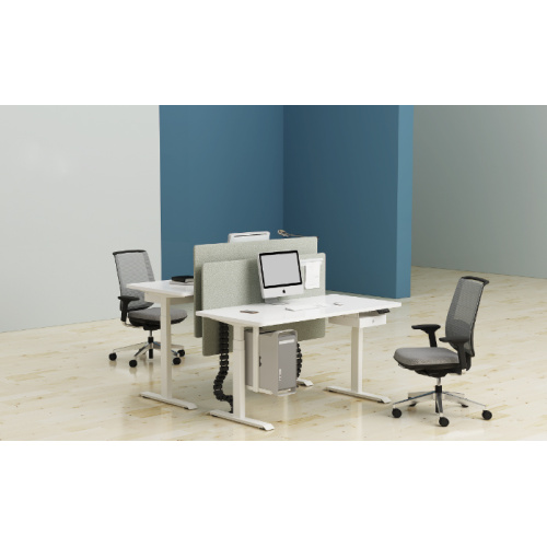 Economical electric lift table/desk-D05