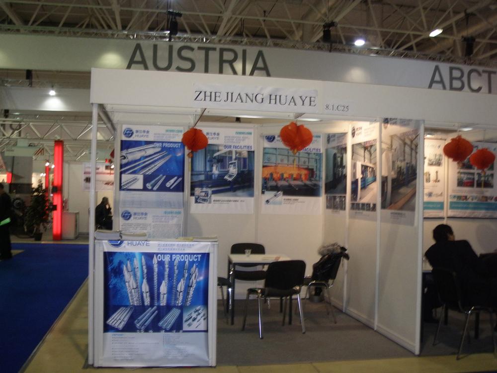 2011 Russia Exhibition