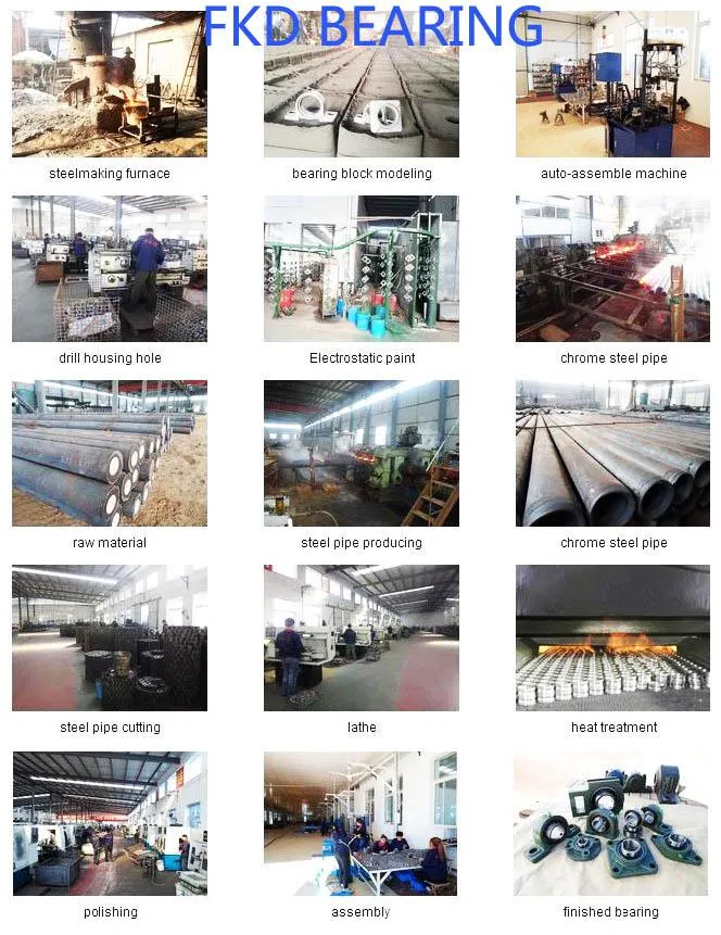 Fkd Bearing/Chrome Steel/ISO Certificate/Used in Machine/Pillow Block Bearings/Made in China/Bearings/Bearing (UCP)