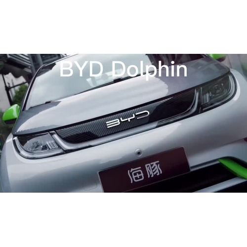 Small pure electric hatchback BYD dolphin