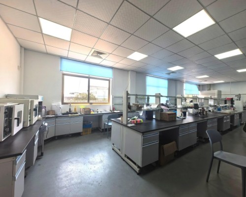 Yang Chengjie, presidente da China Pen Association, e sua delegação visitaram a Feira de Cantão