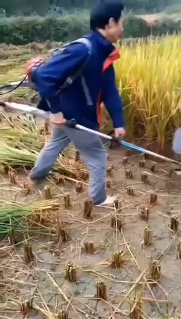 扶稻框