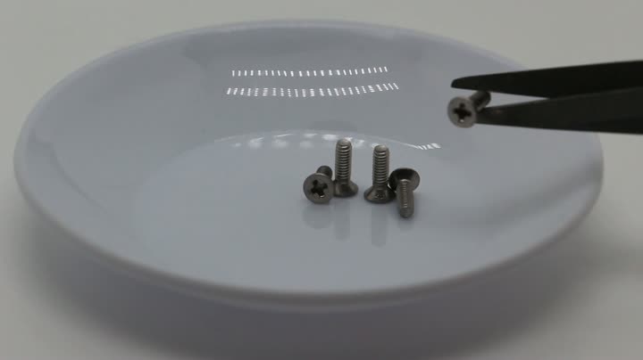 TB819 M2.5*8 Countersunk Cross-Head Screw