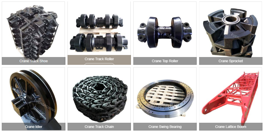 Yantai Evergrowing Import And Export Co.,Ltd.