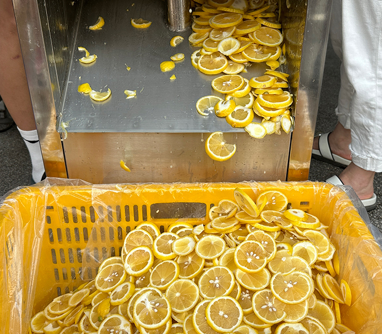 ST-ZQ850 Lemon Slicing Machine