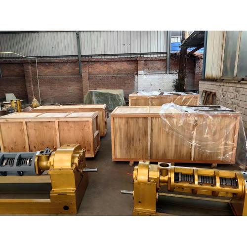 Nossa empresa produz uma máquina de prensa de petróleo parafusos