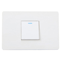 Minimalist One Gang Double Pole Wall Switch1