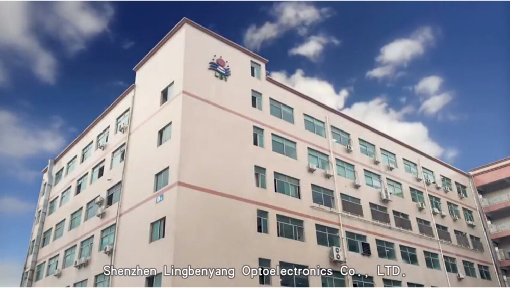 SHENZHEN LINGBENYANG IND. CO., LTD.