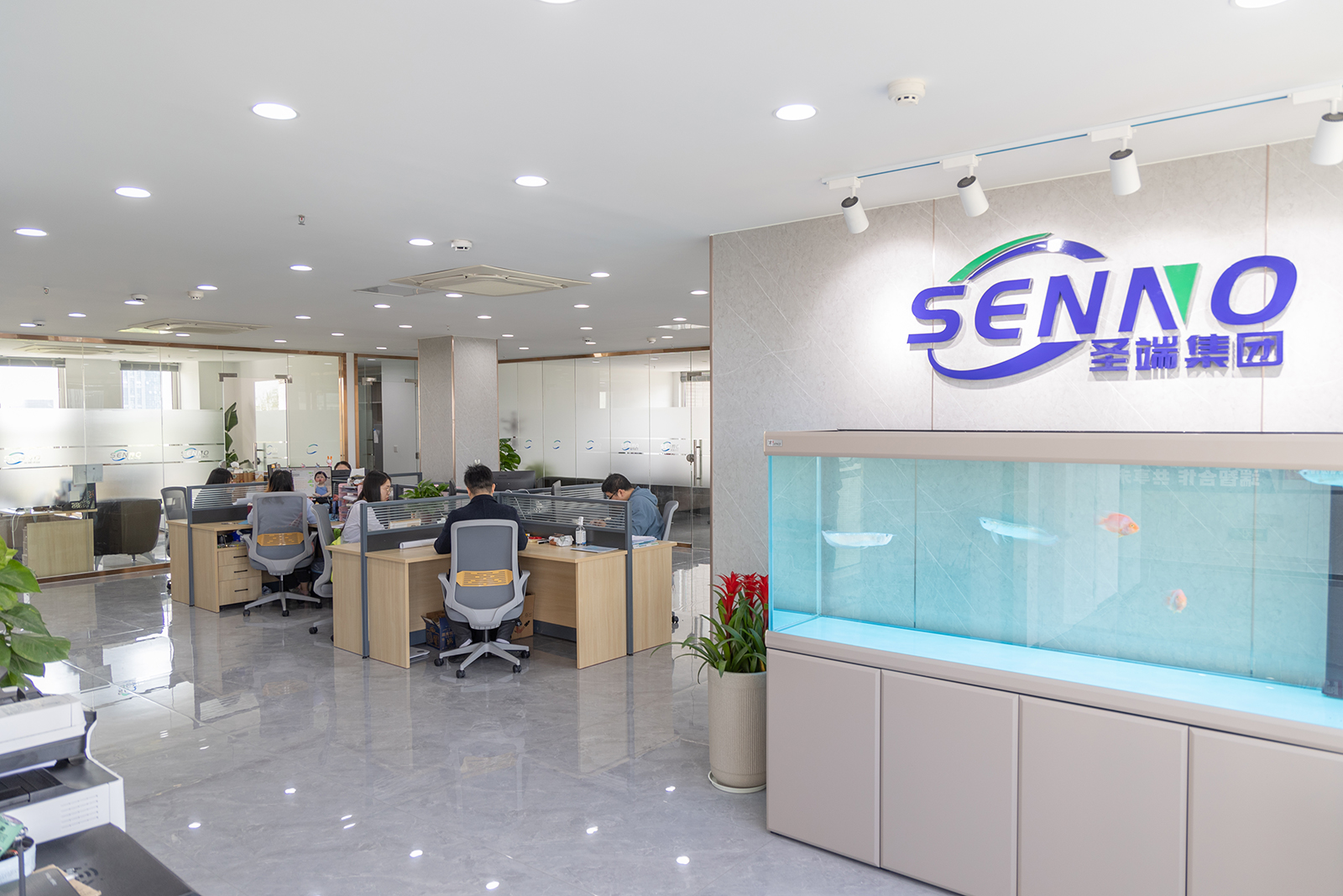 Shanghai Shengduan Trading Co., Ltd.