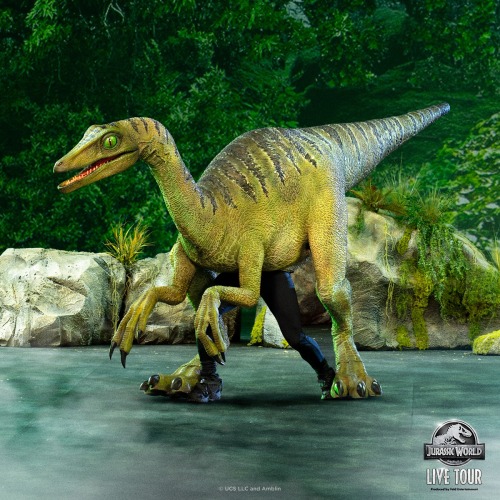 How to Choose A Dinosaur Costume for A Themed Party