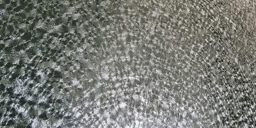Les tôles métalliques colorées PCM Metal avec une finition mate peuvent-elles offrir une protection contre la corrosion ?