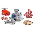 Multilane Sachet Sealing Machines for Mayonnaise and Tomato Sauce Packaging1