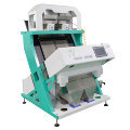 Olive Color Sorter Machine Manufacturer - Fruit Color Sorter1