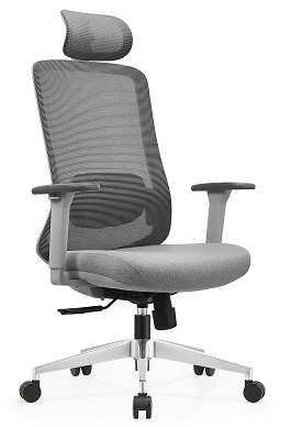 bwellsit  enter China's Douyin, future plans for TikTok