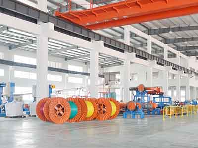 Shandong Shinegoo Group