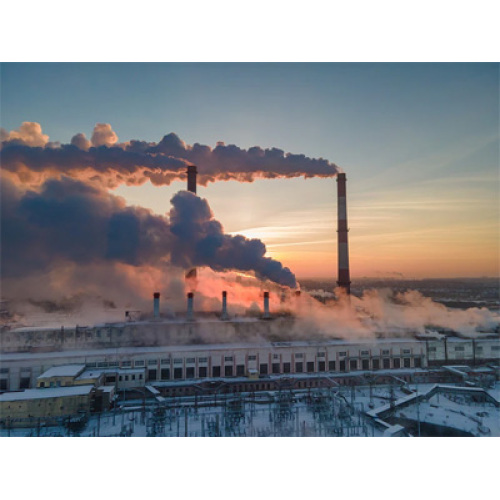 Politika Desteği ve Teknolojik Yenilik, 2026'da Küresel Biyokütle Enerji Kazanı Pazarını Güçlendiriyor