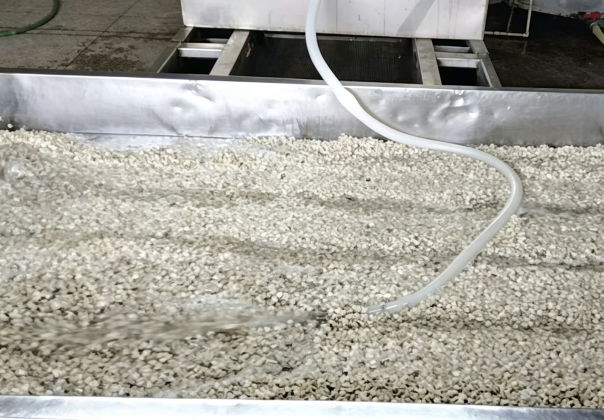 First Sand Purification Tank