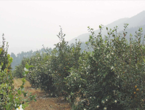 jiangxi enquan oil-fat co.,ltd