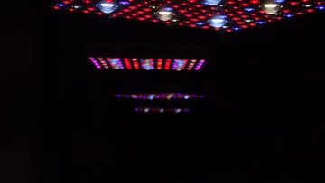Best Phlizon COB LED Grow Light