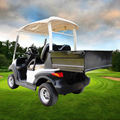 EG Chinese 2 Seater Garden Electric Mini Utility Golf Cart1