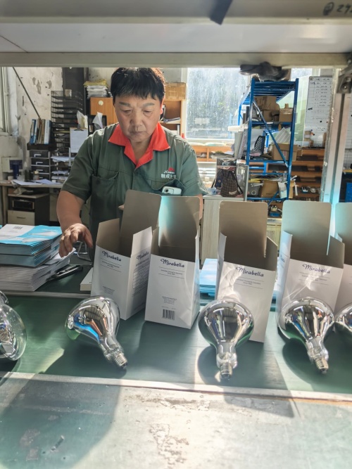 Hangzhou G-Sun Lighting Co., Ltd. extinde inițiativele de automatizare și durabilitate în producția de lămpi specializate