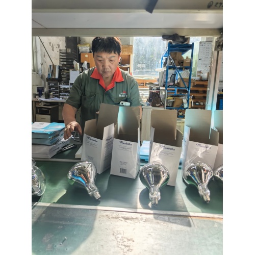 Hangzhou G-Sun Lighting Co., Ltd. Expands Automation and Sustainability Initiatives in Specialized Lamp Production
